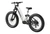 Mokwheel Onyx ST Ebike