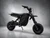 Electro and Co Rizzler Off-Road Mini Bike