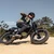 Qiolor Tiger RE Retro Electric Bike