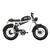 Qiolor Tiger RL Electric Cruiser Bike