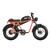 Qiolor Tiger RL Electric Cruiser Bike