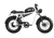 Qiolor Tiger RL Electric Cruiser Bike