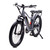 Oh Wow Circuit Breaker CTY Electric Bike