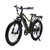 Oh Wow Circuit Breaker CTY Electric Bike