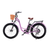 Oh Wow NRG Electric Bike