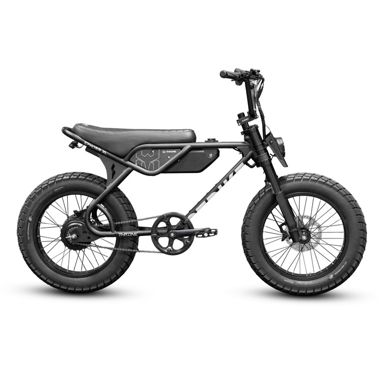 Throne Spyder 750W Fat Tire Ebike - Black
