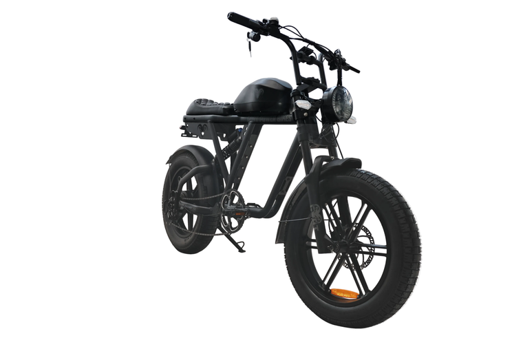 The Motor Goat SL Electric Bike