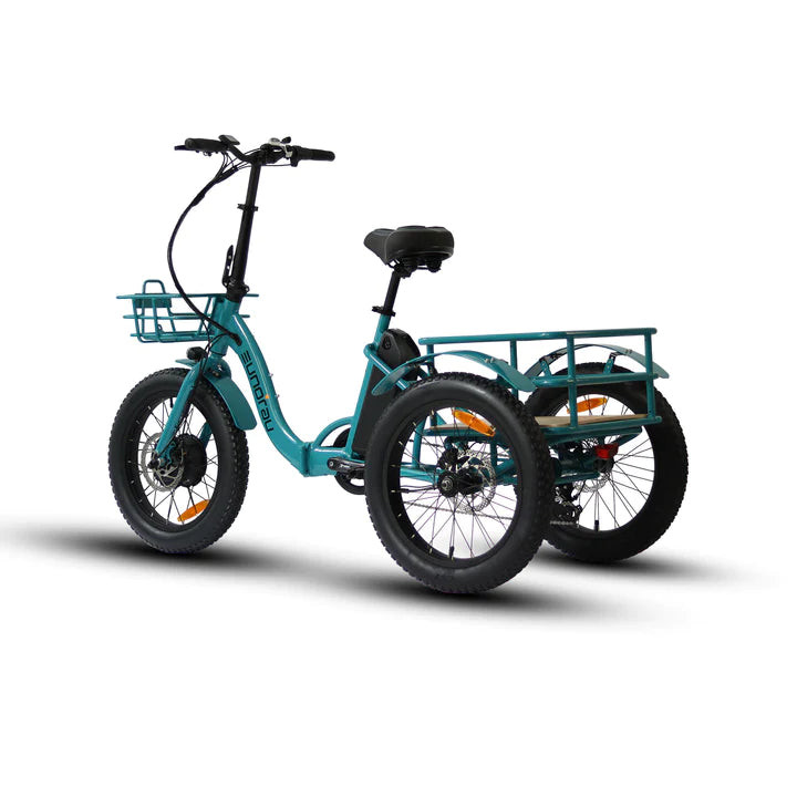 Eunorau NEW-TRIKE - Area 13