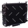 16410-U110071 RADIATOR