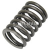 4921392 VALVE SPRING