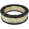 F1-1 AIR FILTER (IMPCO)