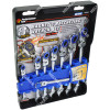 W30646 MAGNETIC WRENCH SET (METRIC)