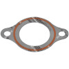 30100046 GASKET, THERMOSTAT