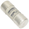 PBM-4172 AC INPUT FUSE GR/UR 22X58-100