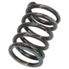 47436-21800-71  SPRING