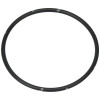 4943125 O-Ring