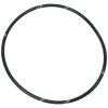 4943380 O-RING