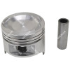 2029096-1.00MM PISTON & PIN SET (1.00MM)