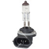 862  HALOGEN BULB