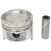 901293841 PISTON & PIN (STD)