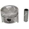 901293845 PISTON & PIN (1.00MM)