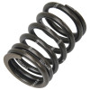 901294833 VALVE SPRING (OUTER)