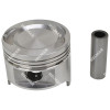 1361717 PISTON & PIN (.75MM)