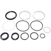 04655-20090-71 TILT CYLINDER O/H KIT