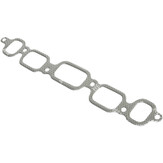925034 MANIFOLD GASKET