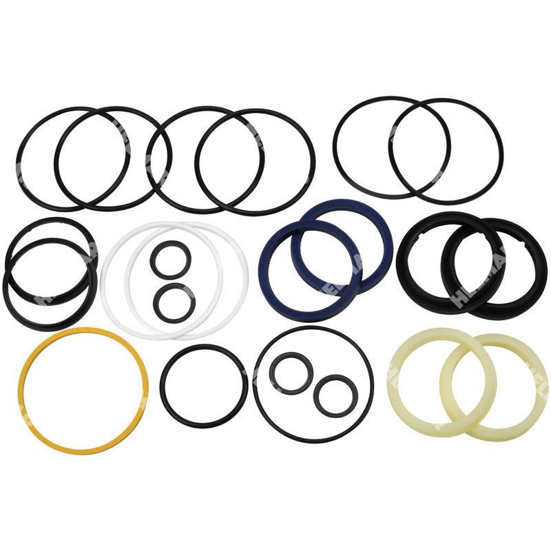 SH788-300-200 POWER STEERING O/H KIT