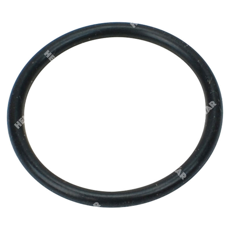 S3-31195-001 O-RING