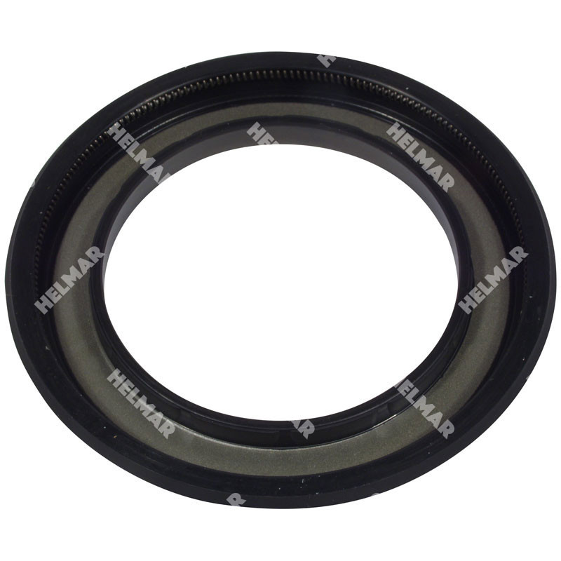 300-22-11171 OIL SEAL