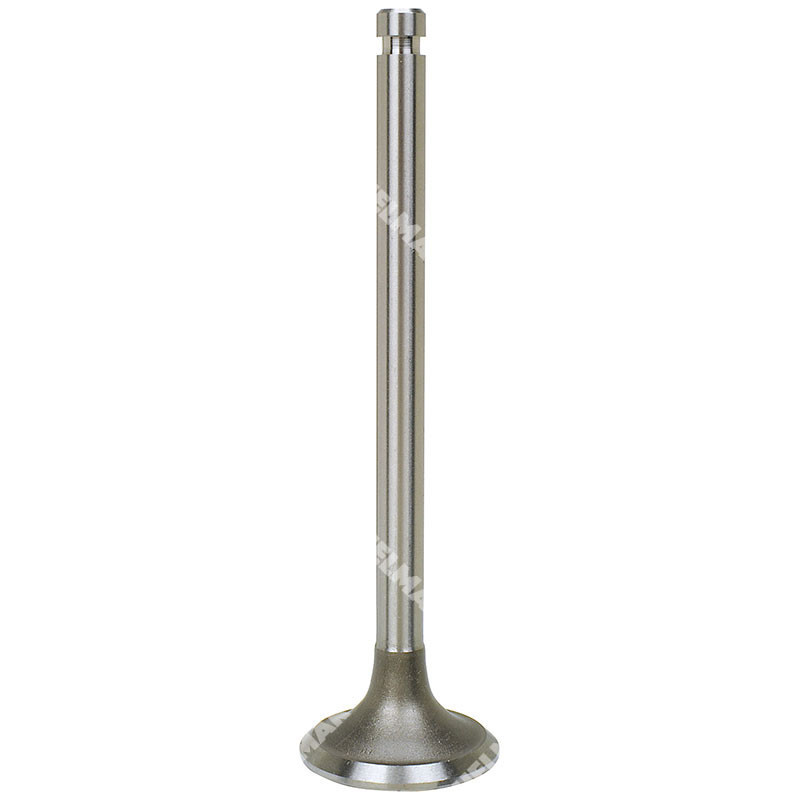13201-00H0D INTAKE VALVE