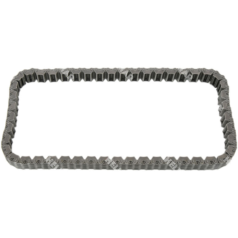 5800356-95 CHAIN, PUMP