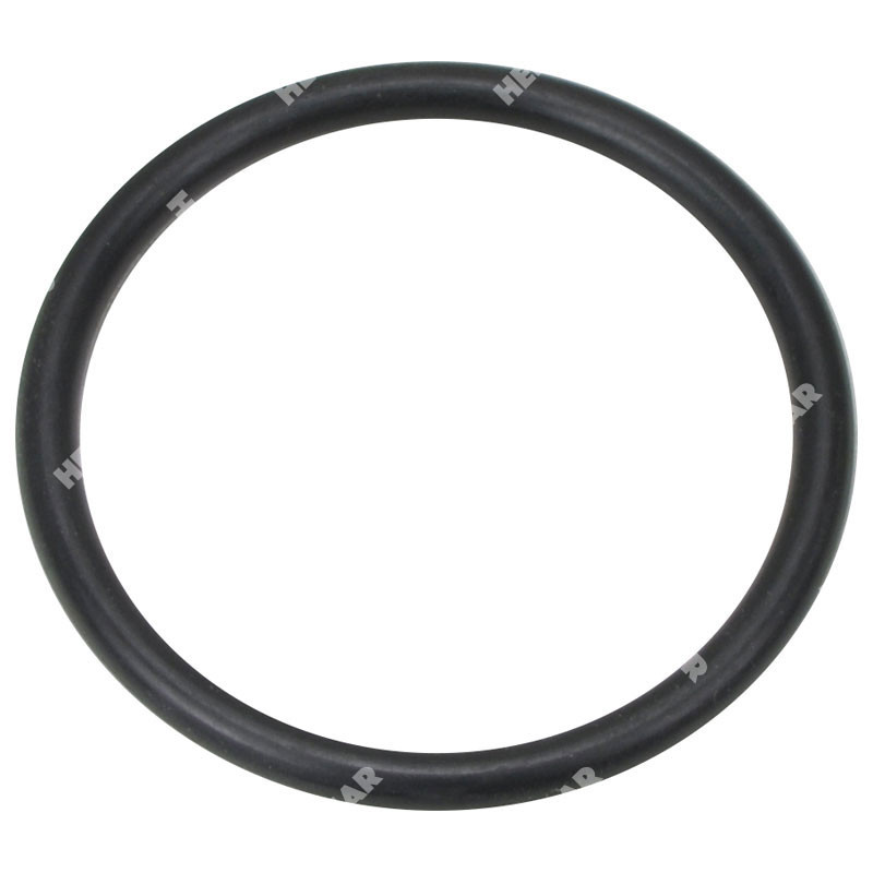 34A-63-17160 O-Ring