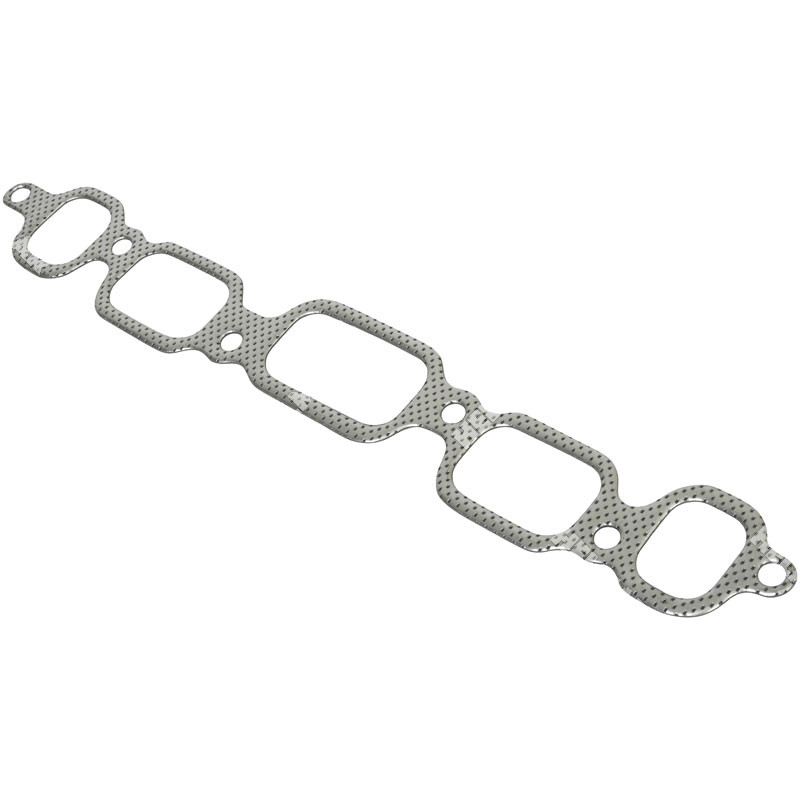 925034 MANIFOLD GASKET