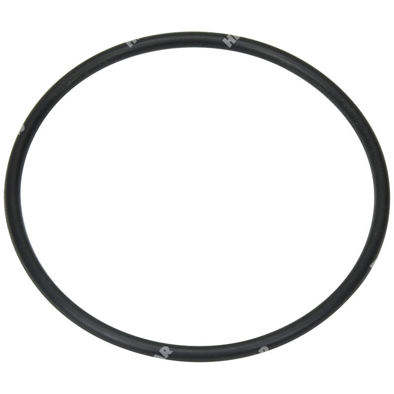 4943125 O-Ring