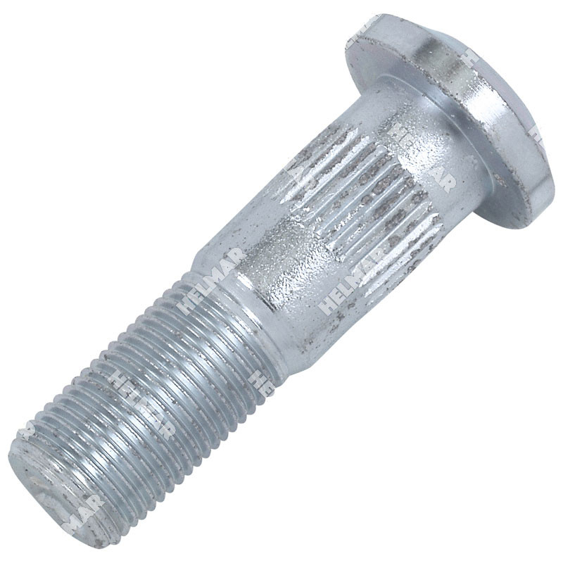 505969581 BOLT