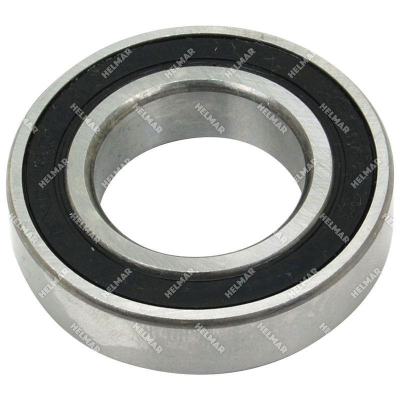 6006-2RS BEARING ASSEMBLY