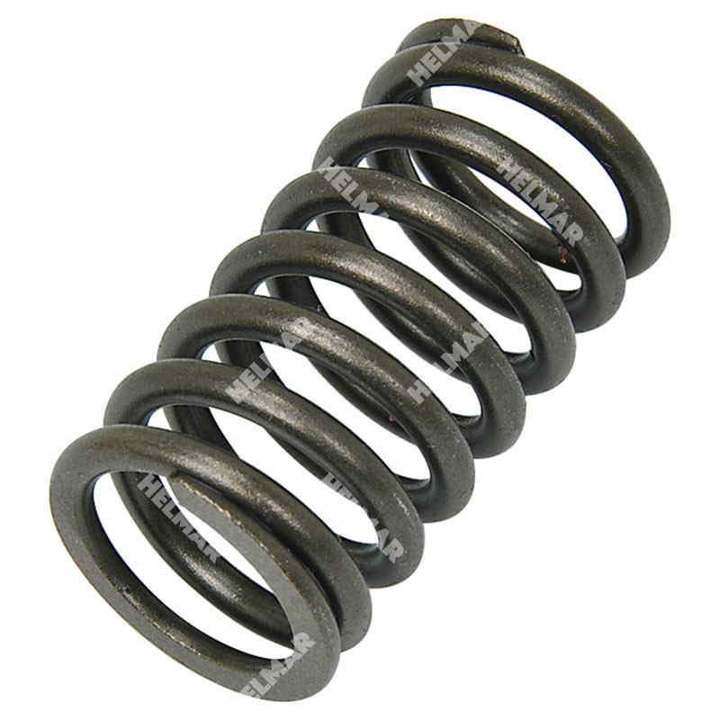 901294832 VALVE SPRING (INNER)