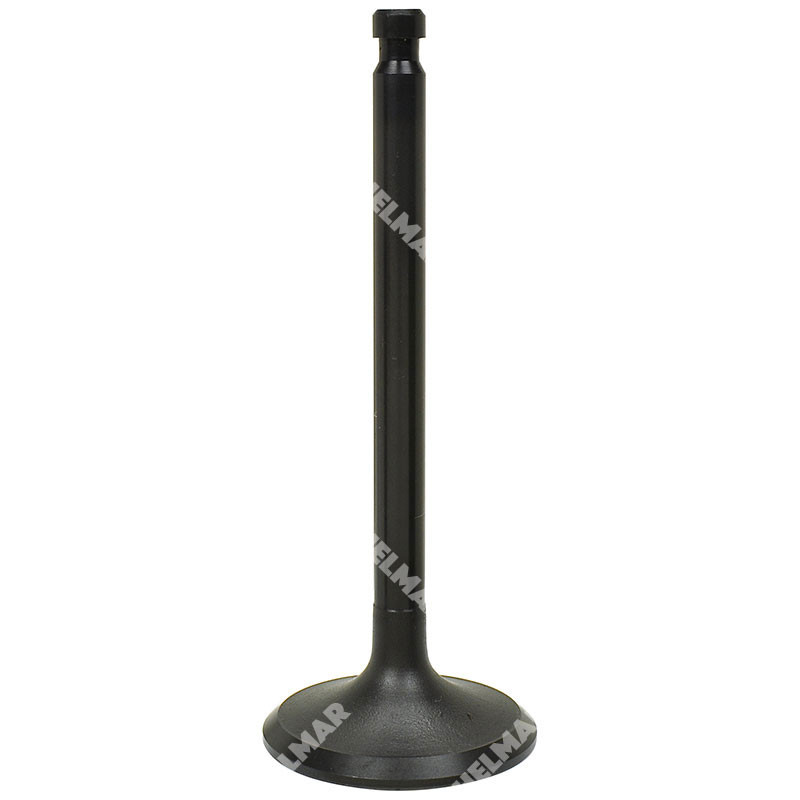 13201-FY50A INTAKE VALVE