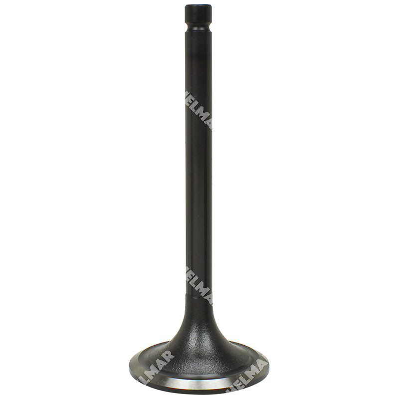 1361720 INTAKE VALVE