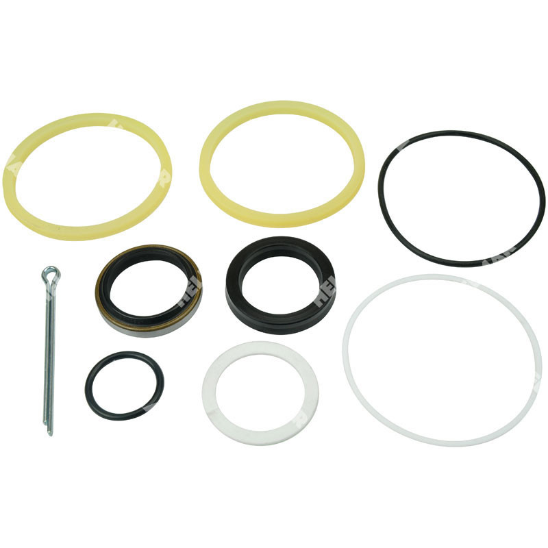 04655-30042-71 TILT CYLINDER O/H KIT