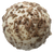 White Chocolate Truffle (5 LBS)