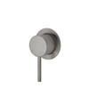 Brushed nickel , Pin lever handle with small round plate.