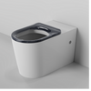Product image of the Cara care floor pan only. The pan is longer than a regular toilet and the seat sits higher.