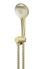 Round Hand Shower on Swivel Bracket Tiger Bronze