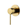 Polished Brass Star Mini Shower Mixer