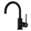 Matte Black Star Mini Basin or Kitchen Mixer