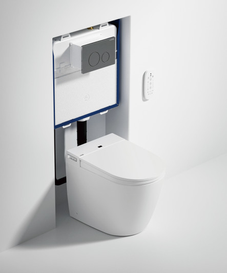 Crawford toilet bidet with the in-wall cistern exposed.